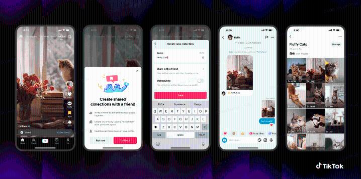 TikTok Brings Shared Feed, Collection to Expand Collaborations Among Friends, Family