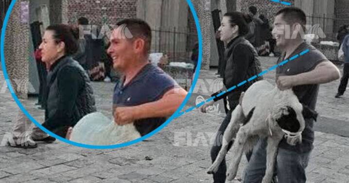 FOTOS: Perritos son arrastrados por trabajadores de la Basílica, denuncian peregrinos