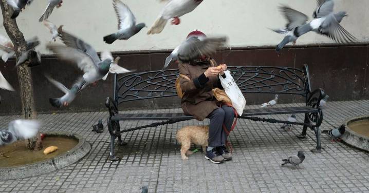 "Los policías locales actuaron de manera correcta con la mujer que daba de comer a las palomas", en Cádiz