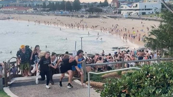 Bondi Beach shooting: Fruit seller Ahmed al Ahmed hailed as hero for stopping gunman