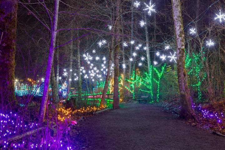 Drive Through Holiday Magic At Aurora's Festival Of Lights