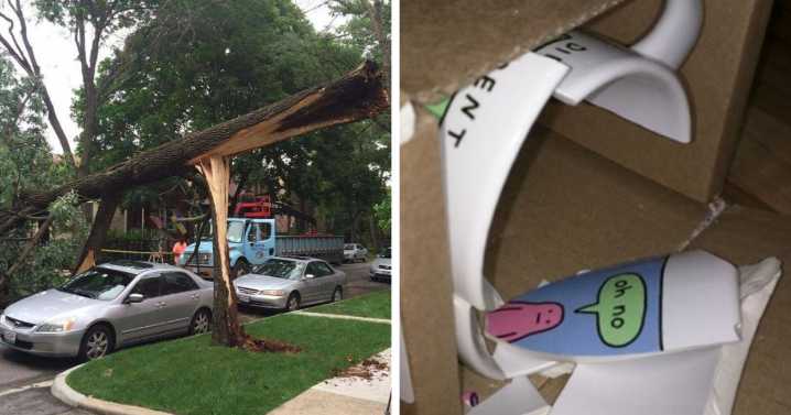 52 Coincidences That Are Too Wild To Be Real But They Are And People Took Photos (New Pics)