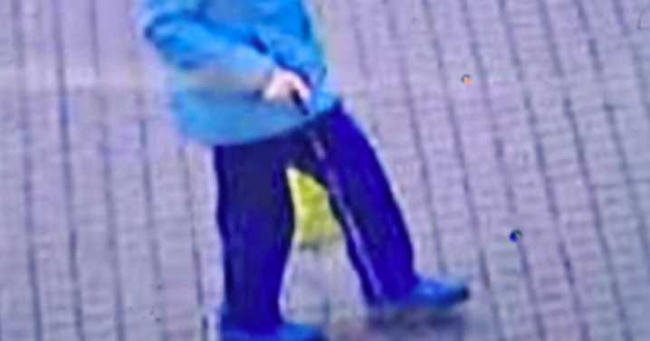 CCTV images show last movements of missing woman, 79, before she mysteriously vanished