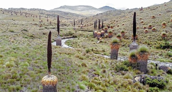 Calipuy: Gerencia del Ambiente debe promover ecoturismo