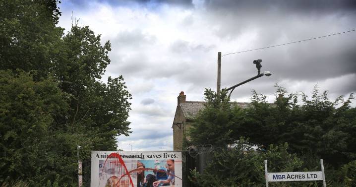 Man claimed he 'rescued' puppies as he's accused of break