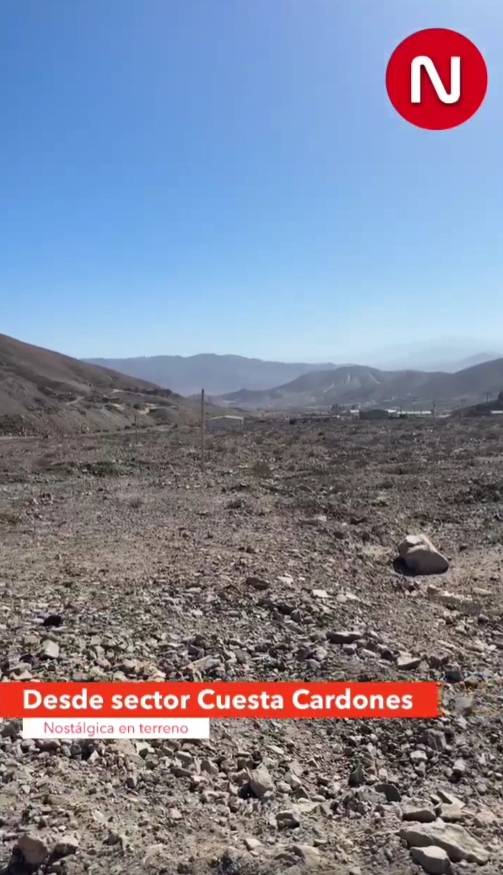 Trabajadores de sector de Cuesta Cardones preocupados por perros asilvestrados del lugar