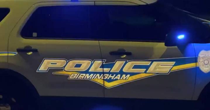 BLM activists, UAB, UA professors sign open letter demanding Birmingham PD respond to officer