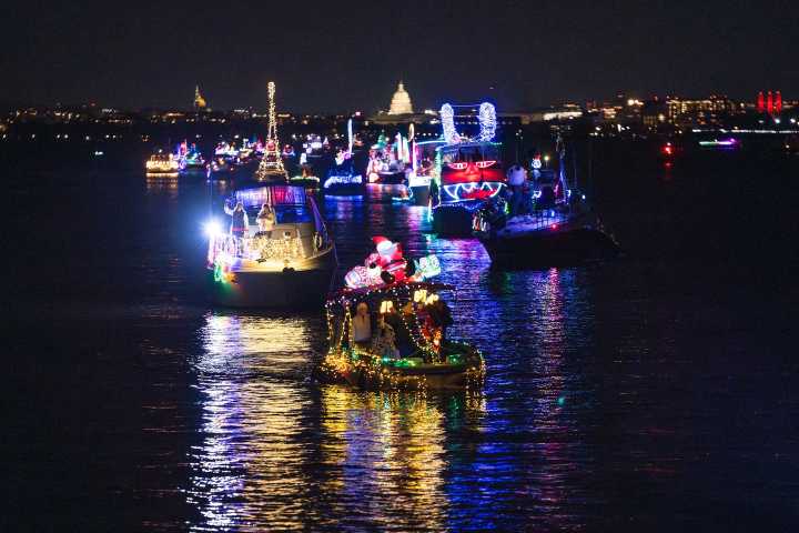 The 44 best things to do in D.C. this weekend and next week