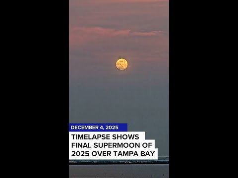 Final supermoon of 2025 shines bright over Tampa Bay