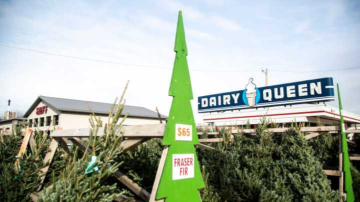 Here’s where to find a Christmas tree near Iowa City