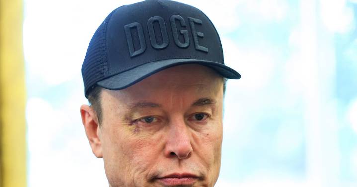 Elon Musk Loses It at Gavin Newsom for Saying His Trans Daughter Vivian Wilson Hates Him