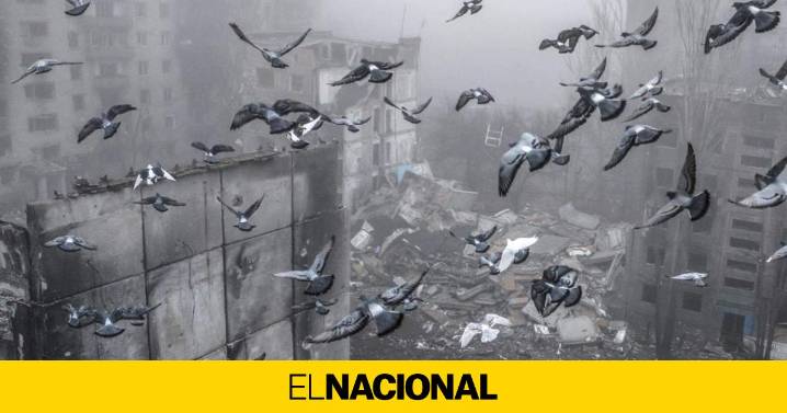 Kostantínovka, devastada por la guerra, frena un nuevo ataque ruso entre la niebla