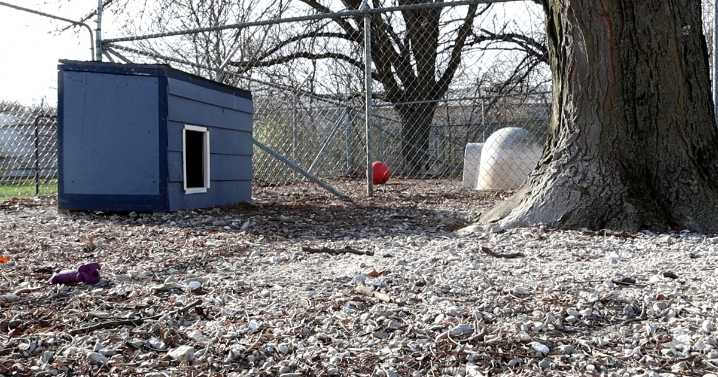 CMHS returns dogs rescued from breeder to their owners
