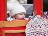 Christmas on the Farm returning to Canatara Park