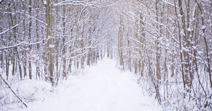 Weekend winter weather forces closures and cancellations across central Illinois