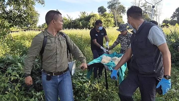 Hoolock gibbon family rescued after four‑day operation in Arunachal Pradesh
