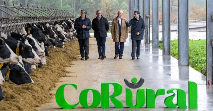 Clun y Leite Celta crean el gran grupo lácteo de Galicia