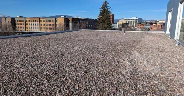 City approves $1.25M ‘green’ roof conversion at Missoula library