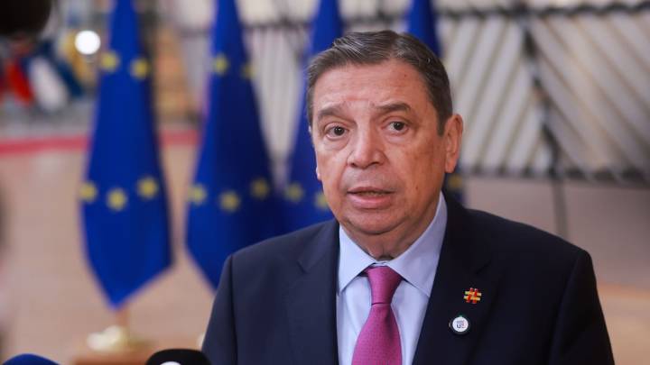 La UE aprueba nuevas cuotas de pesca para 2026: los pescadores del Mediterráneo podrán salir a faenar 143 días