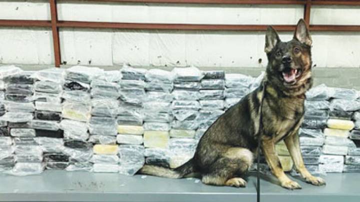 MCSO, Warren Police Department create drug crime task force