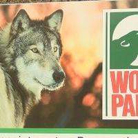 Giving Tuesday was good to Wolf Park
