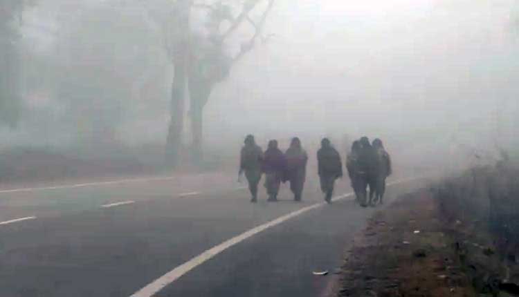 Cold Wave Sweeps Odisha: Jharsuguda Dips To 7°C, Rourkela Chills At 9.1°C At 8:30 AM
