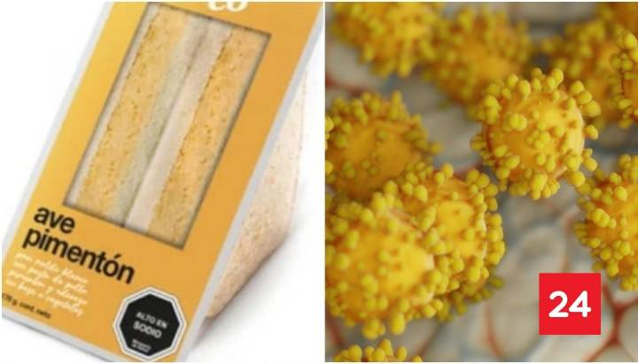 ¿Qué es la Listeria y qué síntomas produce?: bacteria encontrada en clásico sandwhich ave pimentón