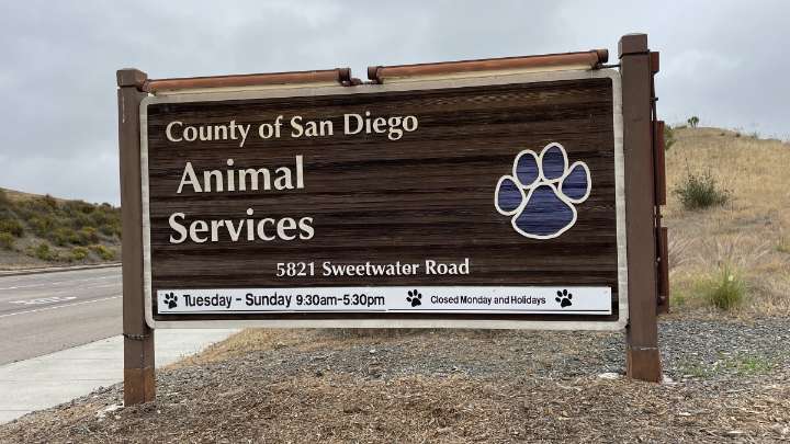 San Diego County Animal Services facing audit