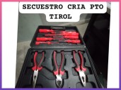 PUERTO TIROL: Detienen A Un Joven Por Disturbios Y Recuperan Herramientas Sustraídas