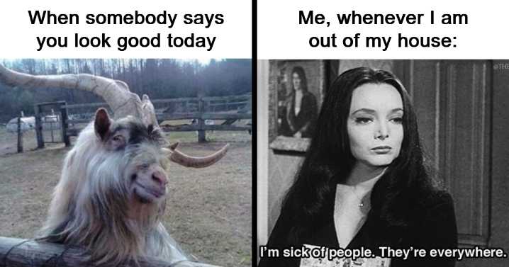 37 Goth Memes That Prove Humor Can Be As Dark As Your Wardrobe