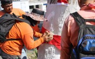 Nayarit | Gobierno 'decora' árboles vivos y especialistas alertan sobre daños por la pintura