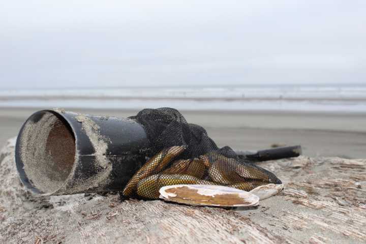 Six days of coastal razor clam digs approved WDFW for Dec. 18