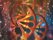 Terapia génica china elimina VIH en modelos preclínicos