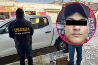 Sobrevive gatito golpeado en mercado de Ecatepec; buscan a agresor