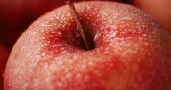 Nutritionist says avoid apples with these stickers on