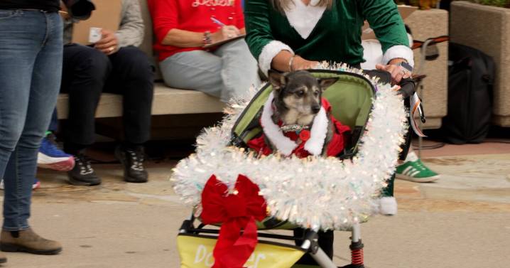 Pups turn out in costume for doggie parade in Avila Beach