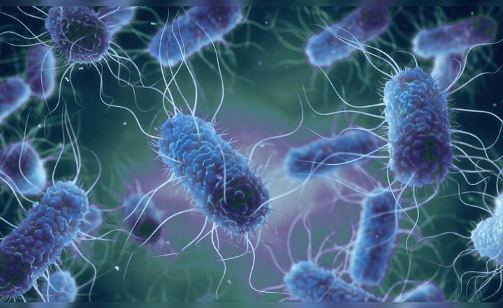 OMS advierte aumento del número de superbacterias resistentes a antibióticos