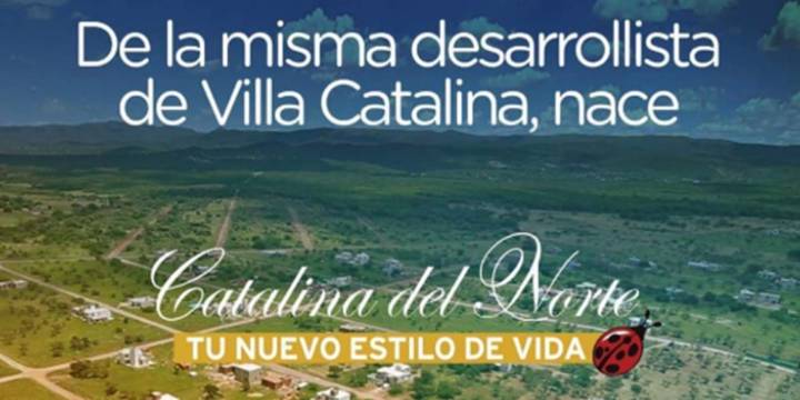 Investigan otra estafa inmobiliaria en Córdoba: hay cinco detenidos acusados de vender lotes sin habilitación