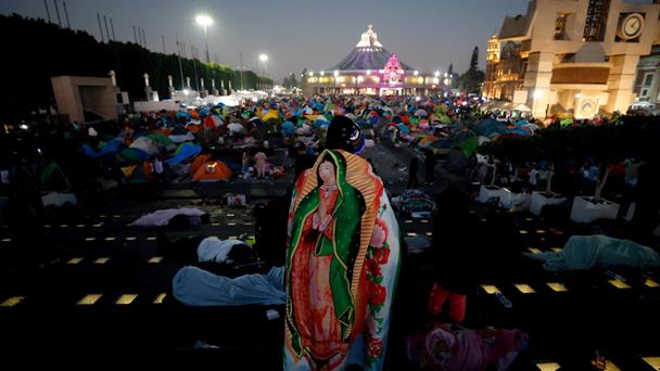 Mundo Patitas rescata perros peregrinos abandonados en Ciudad de México