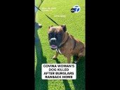 Covina woman's dog killed after burglars ransack home