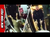 Deer Goes Buck Wild, Breaks into Christmas Shop and Gets Stuck in Chair