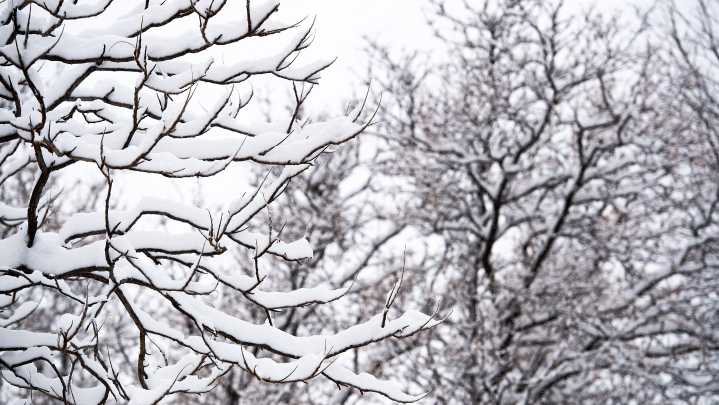 Emmet County's weather forecast for Thursday