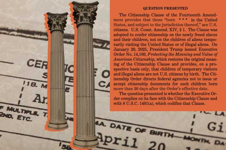 These babies are among the bravest Supreme Court litigants ever.