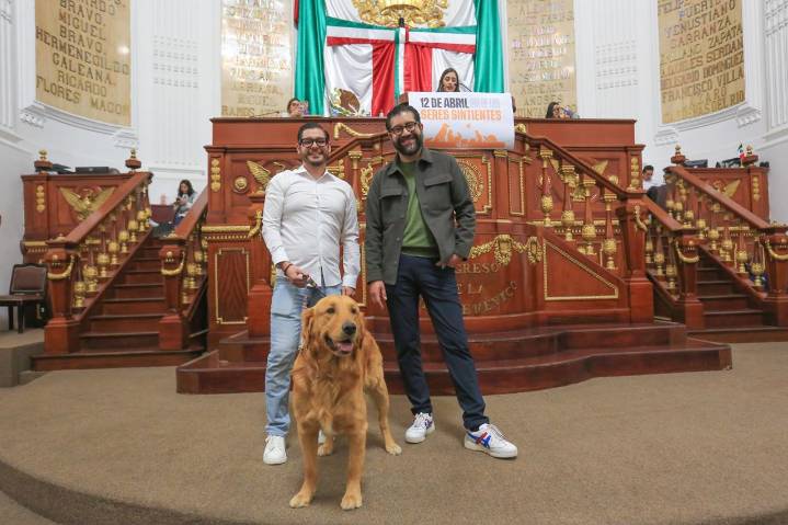 Congreso de CDMX aprueba dictamen para declarar el 12 de abril como “Día de los Seres Sintientes”; buscan proteger a todos los animales
