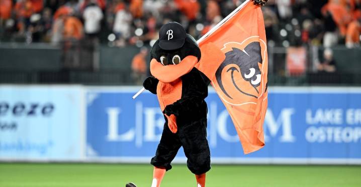 Monday Bird Droppings: December in Birdland