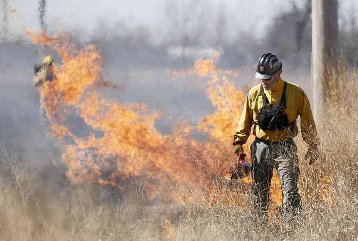 Prescribed burn set for Friday at Woolsey Wet Prairie Sanctuary in Fayetteville
