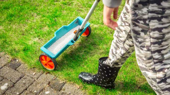 The Overall Best Lawn Fertilizer Brand, According To Customer Reviews