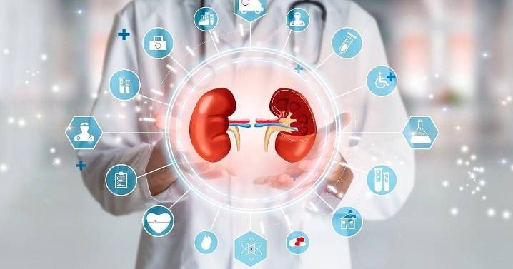 Poor Kidney Health Might Influence Dementia, Alzheimer's Risk