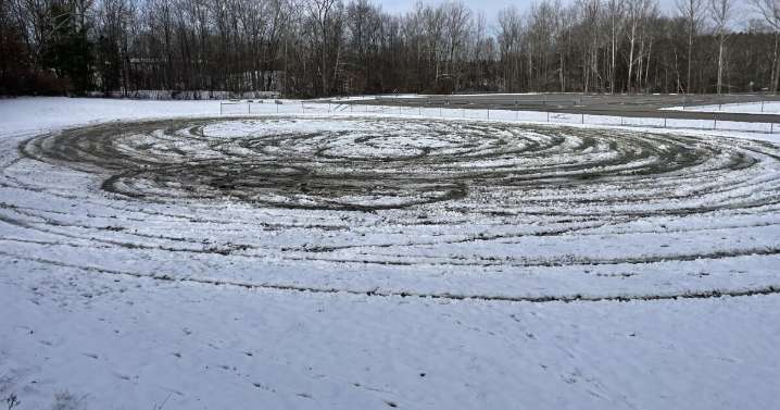 Medina faces setbacks following vandalism at city's Reagan Park