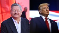 Ted Sarandos Spoke With Donald Trump Ahead of Warner Bros. Deal